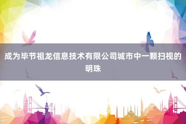成为毕节祖龙信息技术有限公司城市中一颗扫视的明珠